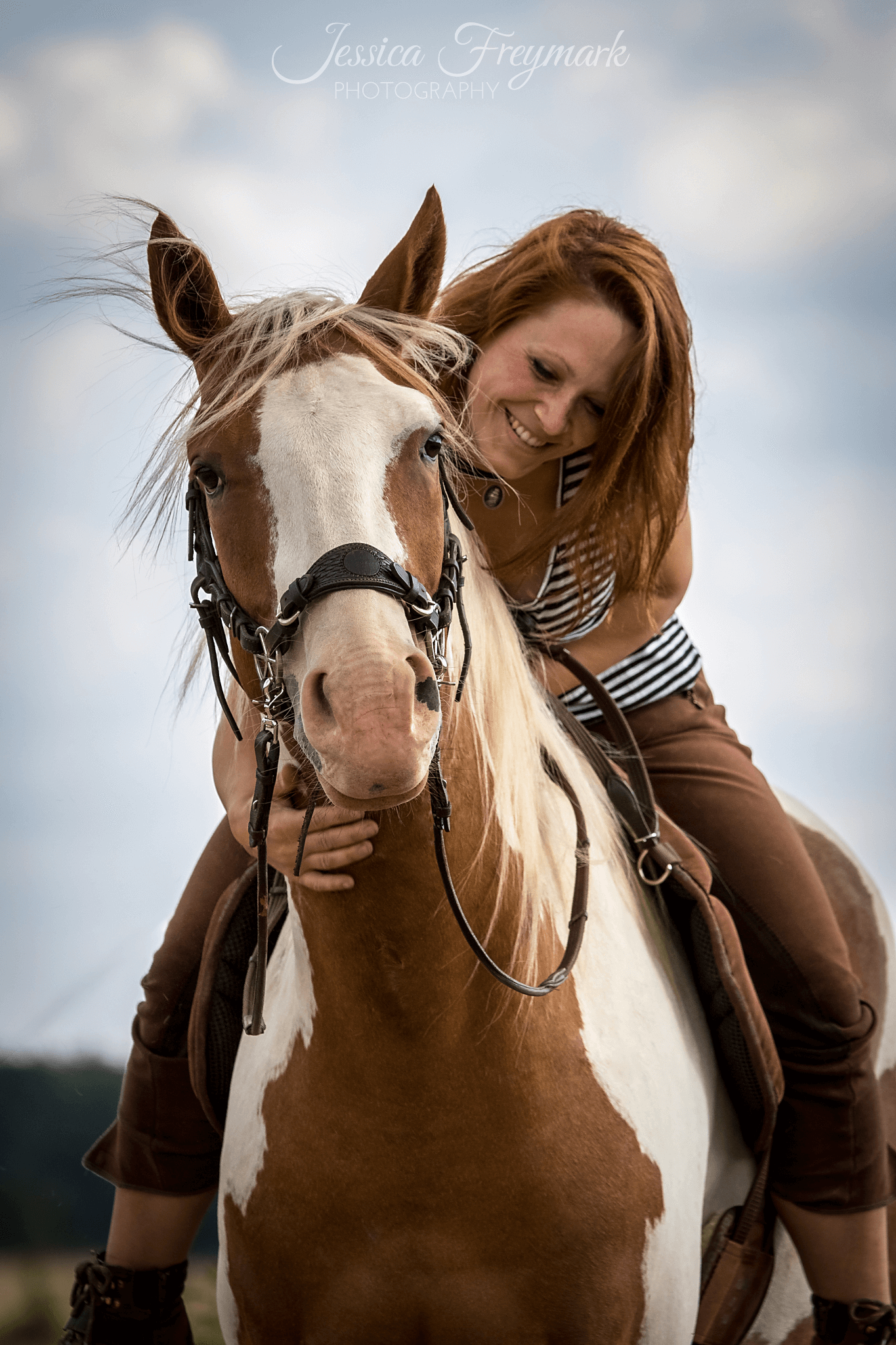 Schönere Pferdefotos
