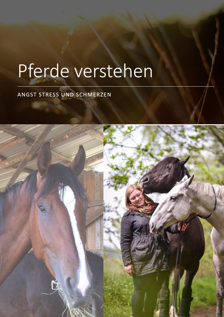 Pferde verstehen – Angst, Stress und Schmerzen bei Pferden – Einzelkurs