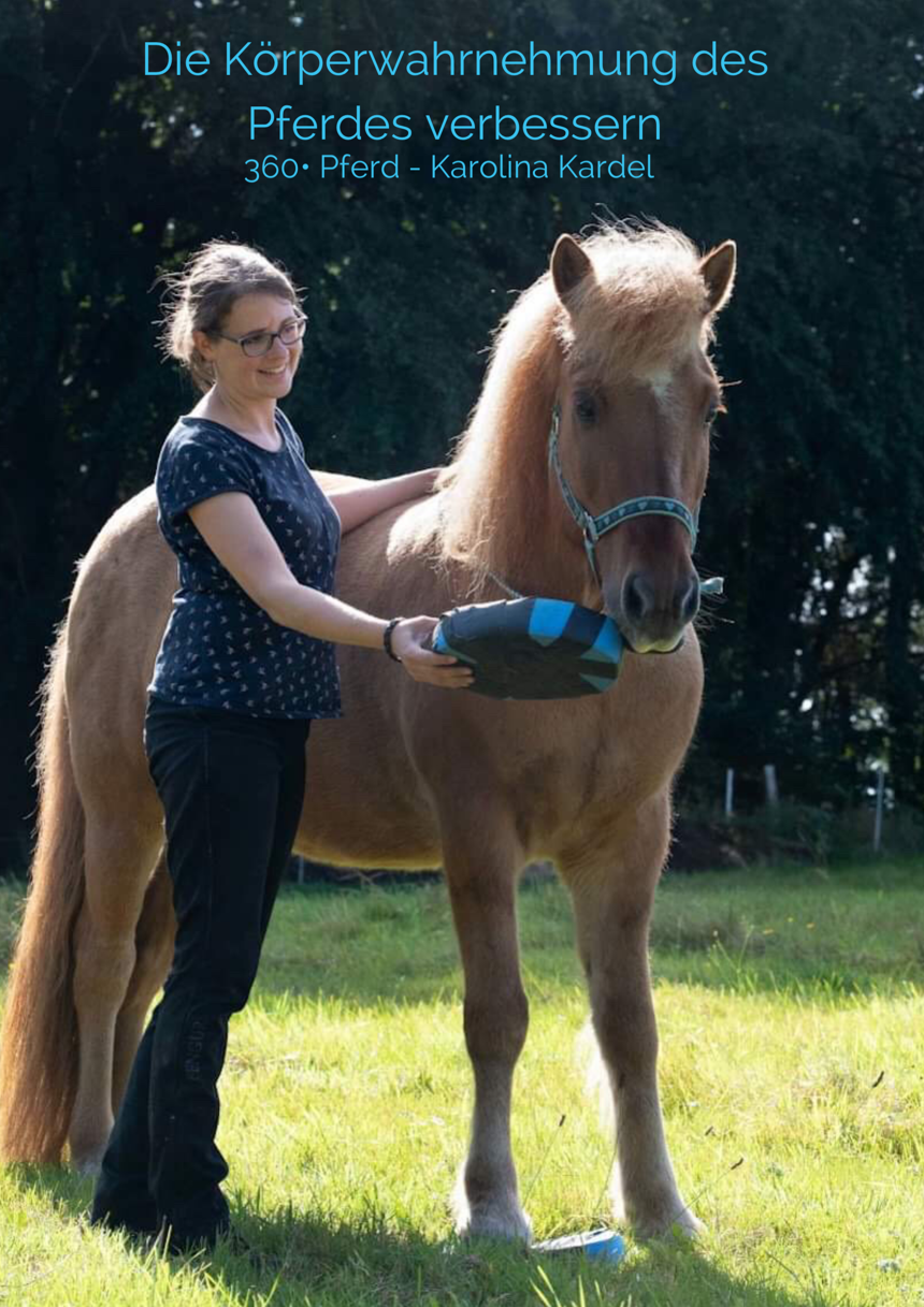 Die Körperwahrnehmung des Pferdes verbessern