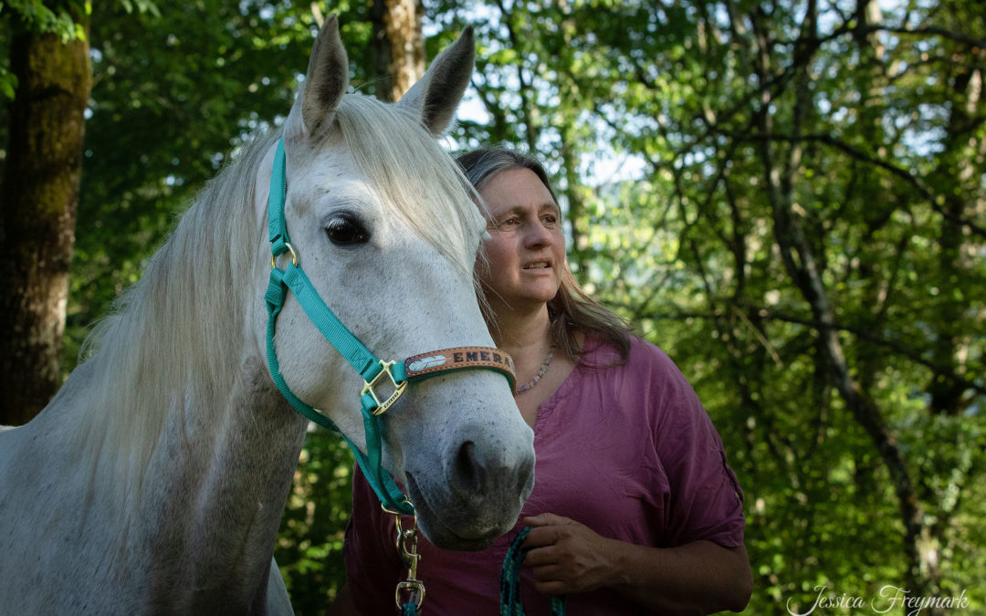 Wünsche, Vorsätze, Ziele und die Realität mit Pferden