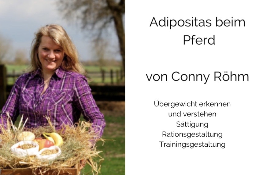 Adipositas beim Pferd – mit Conny Röhm