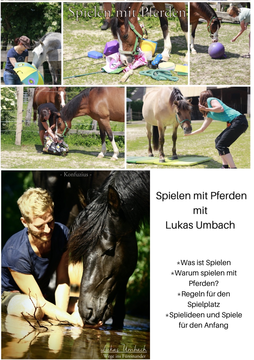 Mit Pferden spielen mit Lukas Umbach