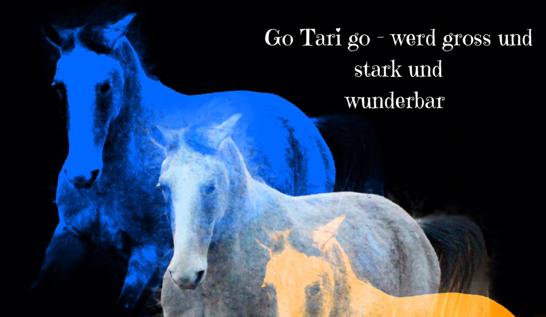 Was ich Tari versprochen habe