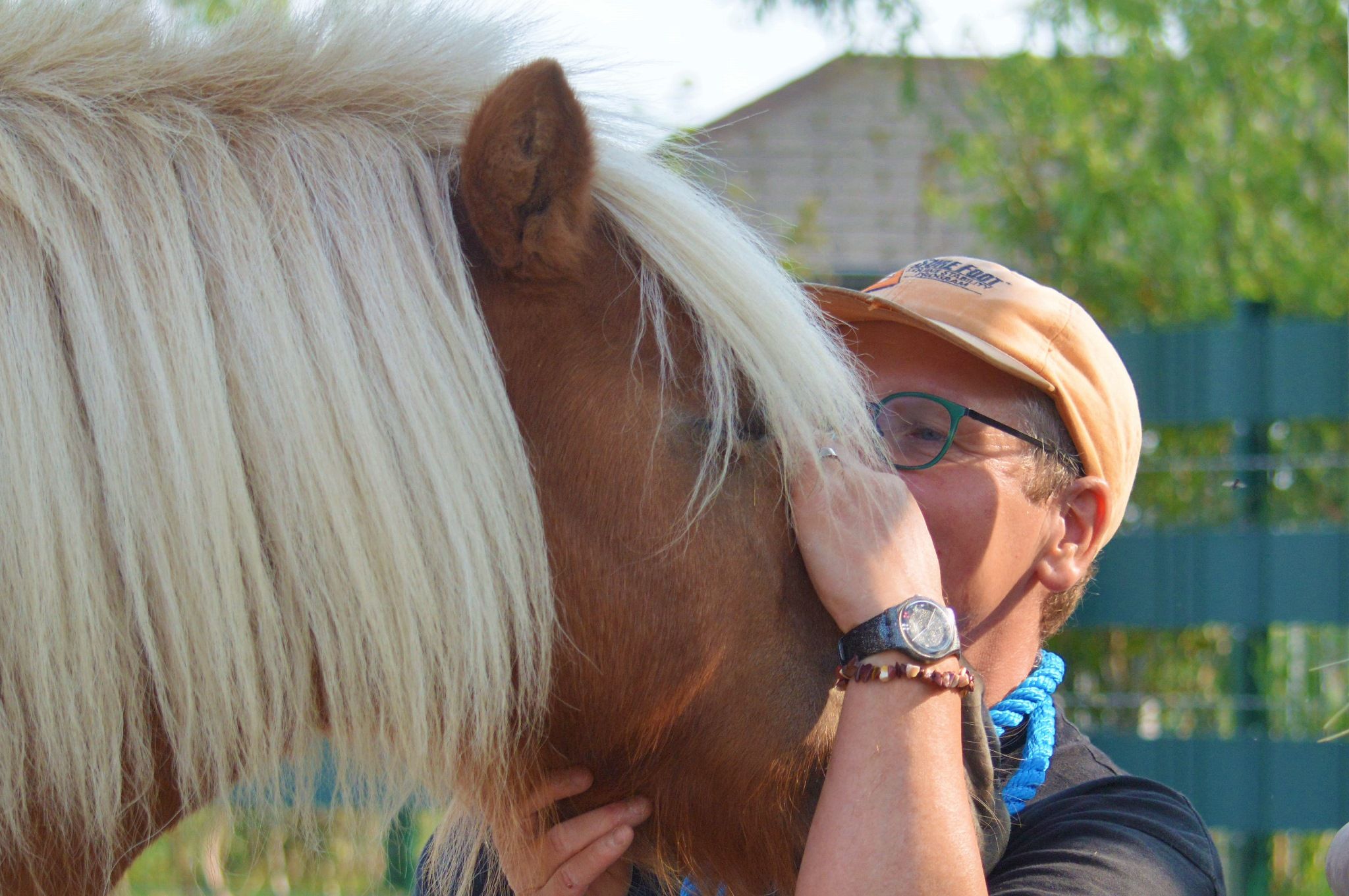 Pferde können antworten – Möglichkeiten der Tierkommunikation mit Chris Wolf
