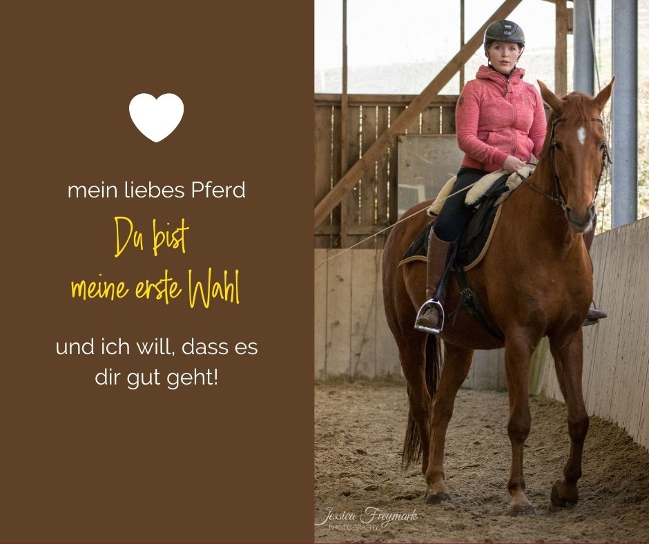 mein liebes Pferd (2)