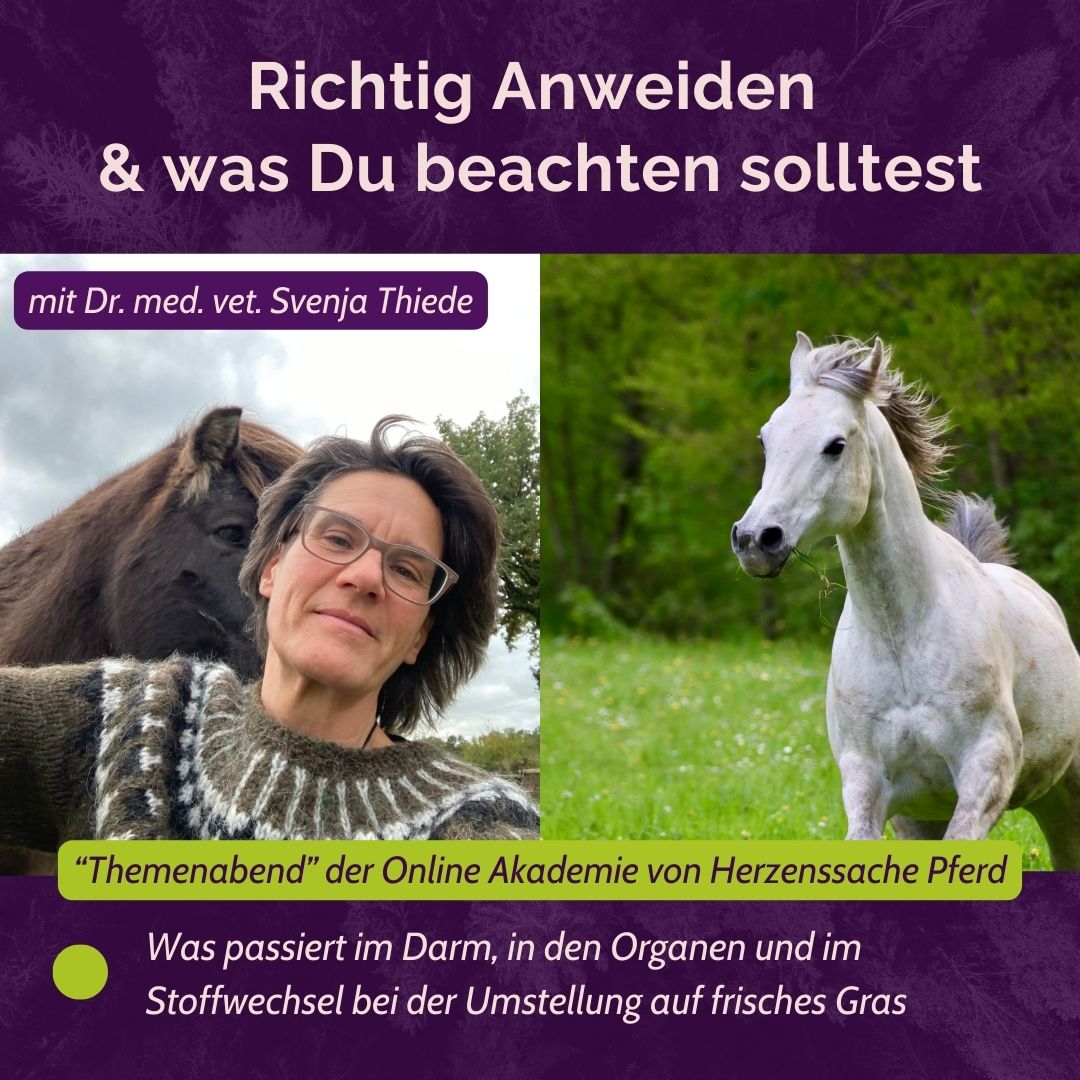 Titelblatt Themenabend Anweiden mit Svenja Thiede