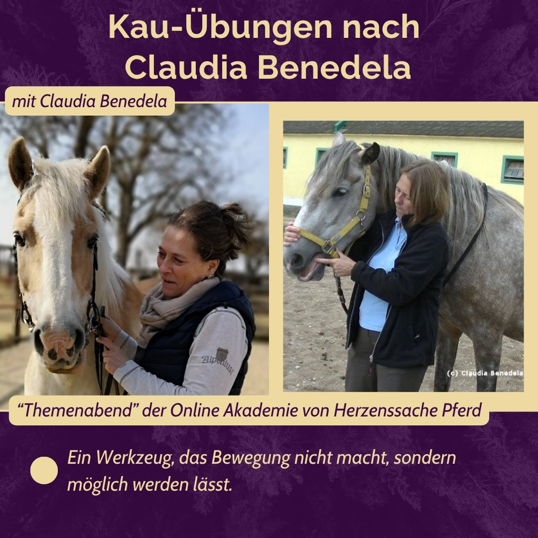 THA ANH Titelbild Themenabend Hufschutz mit Kati Jurth - 1175 x 985px