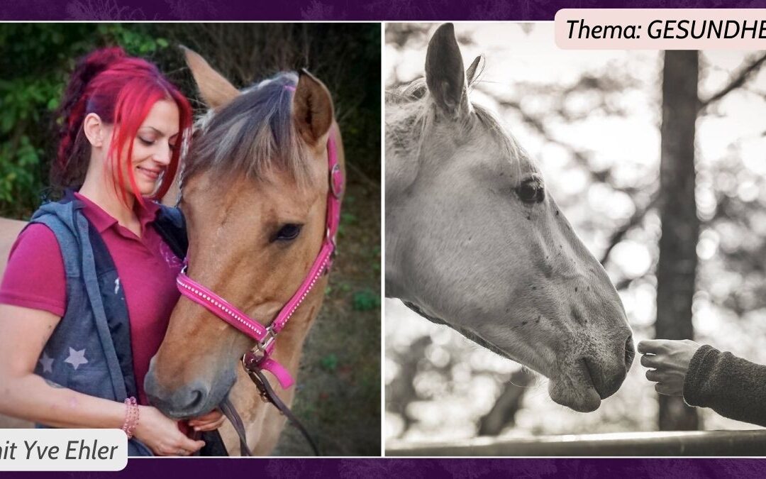 Kurs der Online Akademie | Trauma bei Pferden verstehen und heilen