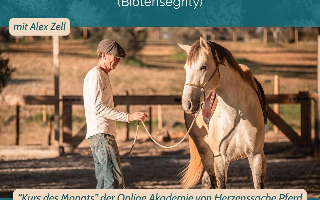 🟢 NEU: Vorbereitende Basisarbeit am Boden mit Alex Zell