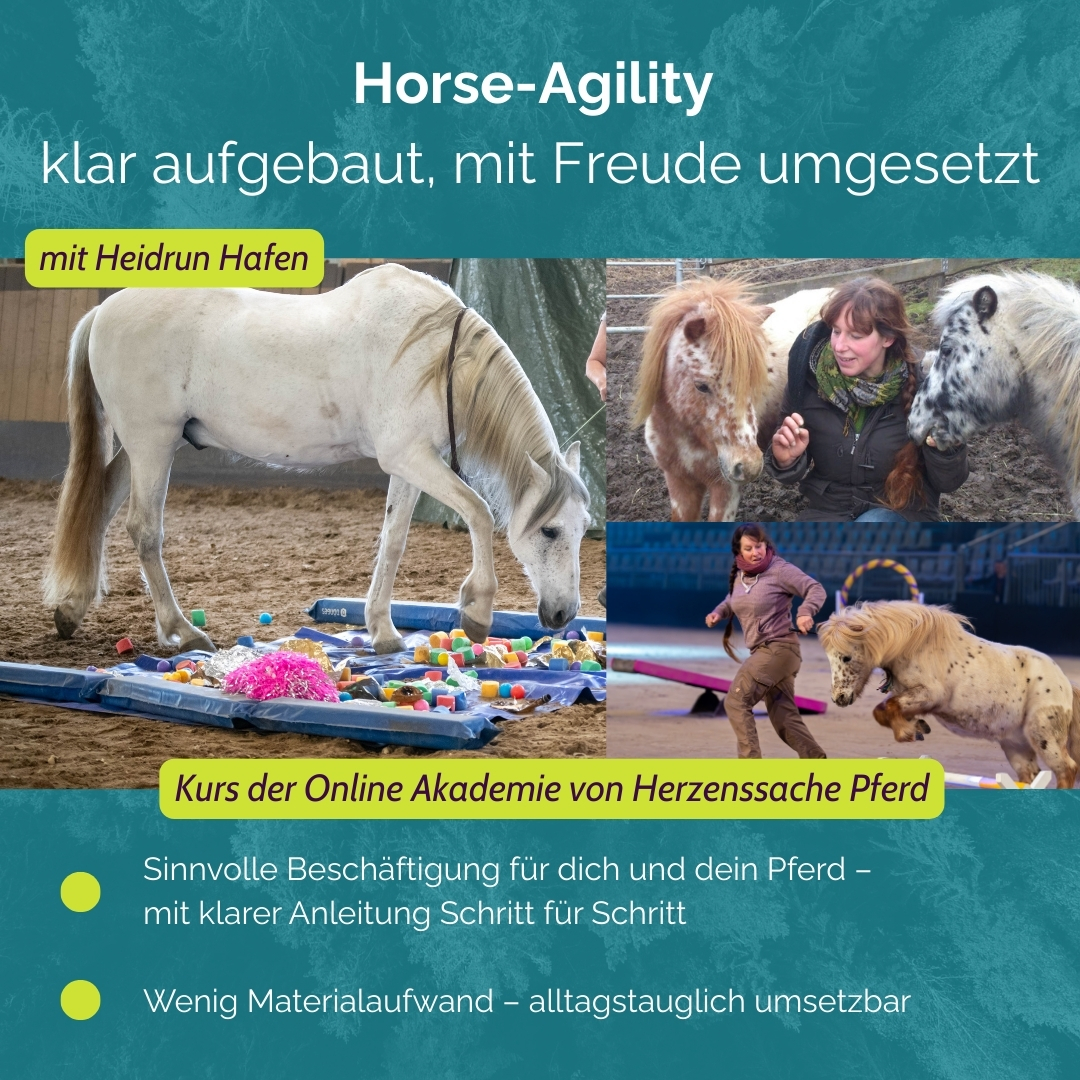 EK ANH Titelbild Einzelkurs ECVM mit Karin Kattwinkel