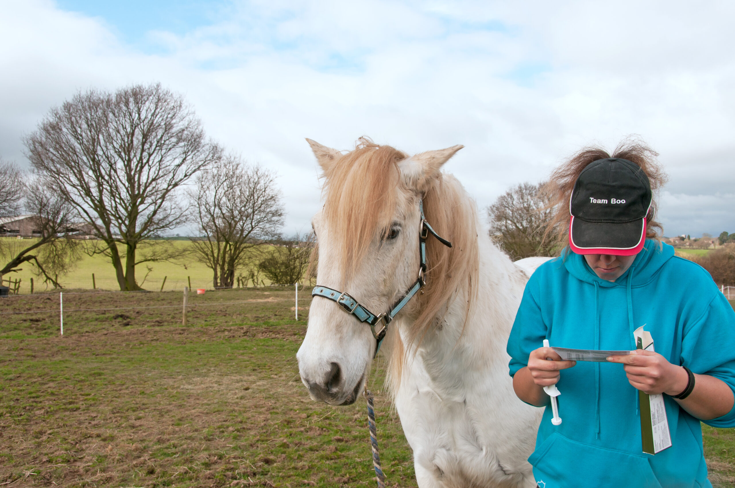 Owner reading the instructions before administering a wormer to her horse