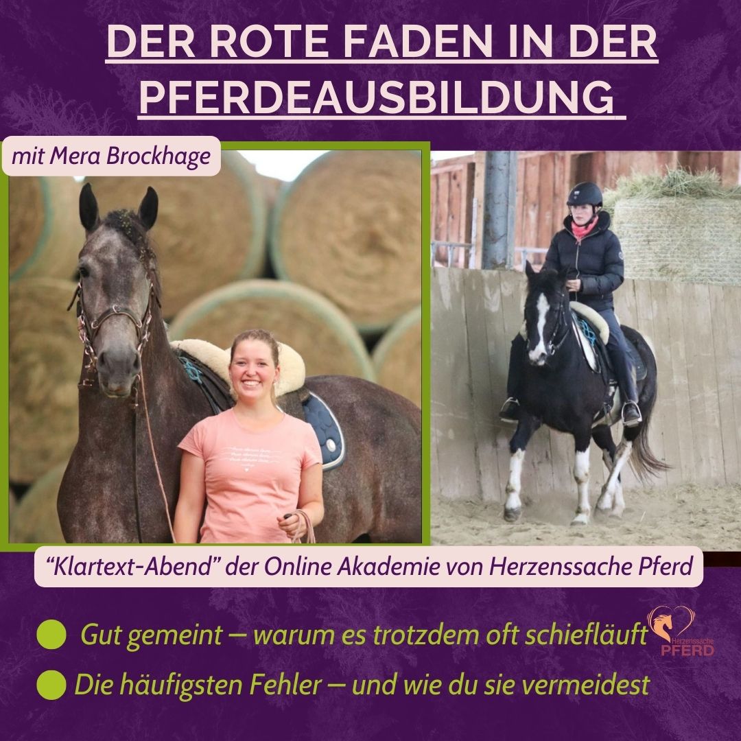 shortmarketing Themenabend Mera THA ANH Titelbild Themenabend Hufschutz mit Kati Jurth - 1175 x 985px
