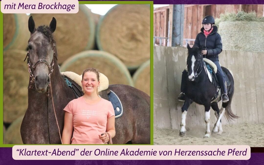 NEUER THEMENABEND | Mai 25 🟢 Online Akademie