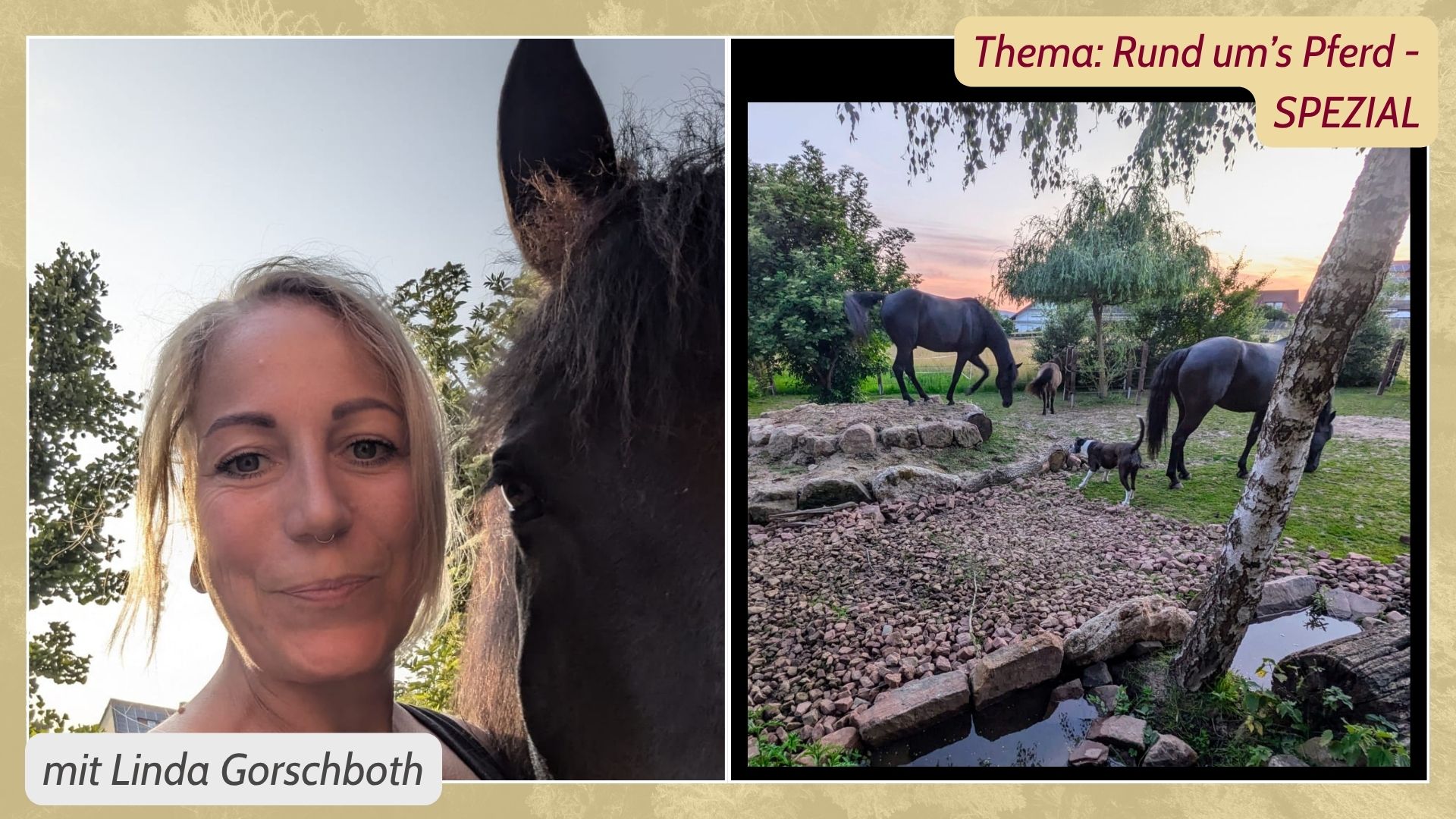 Paddock-Trail_IMG-Quer-Default1_Linda_Gorschboth