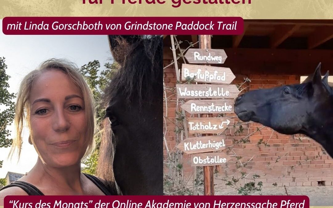 Lebensraum statt Abstellplatz – eine naturnahe Alltagsumgebung für Pferde gestalten
