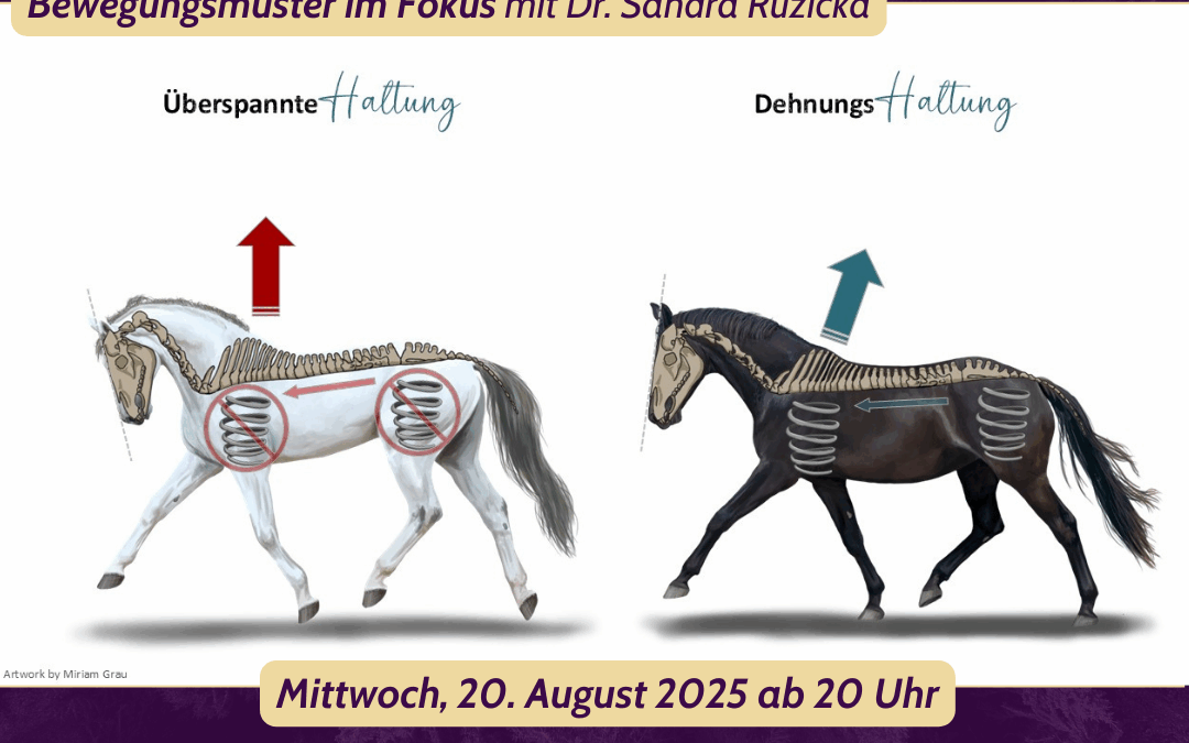 Bewegungsmuster im Fokus mit Dr. Sandra Ruzicka