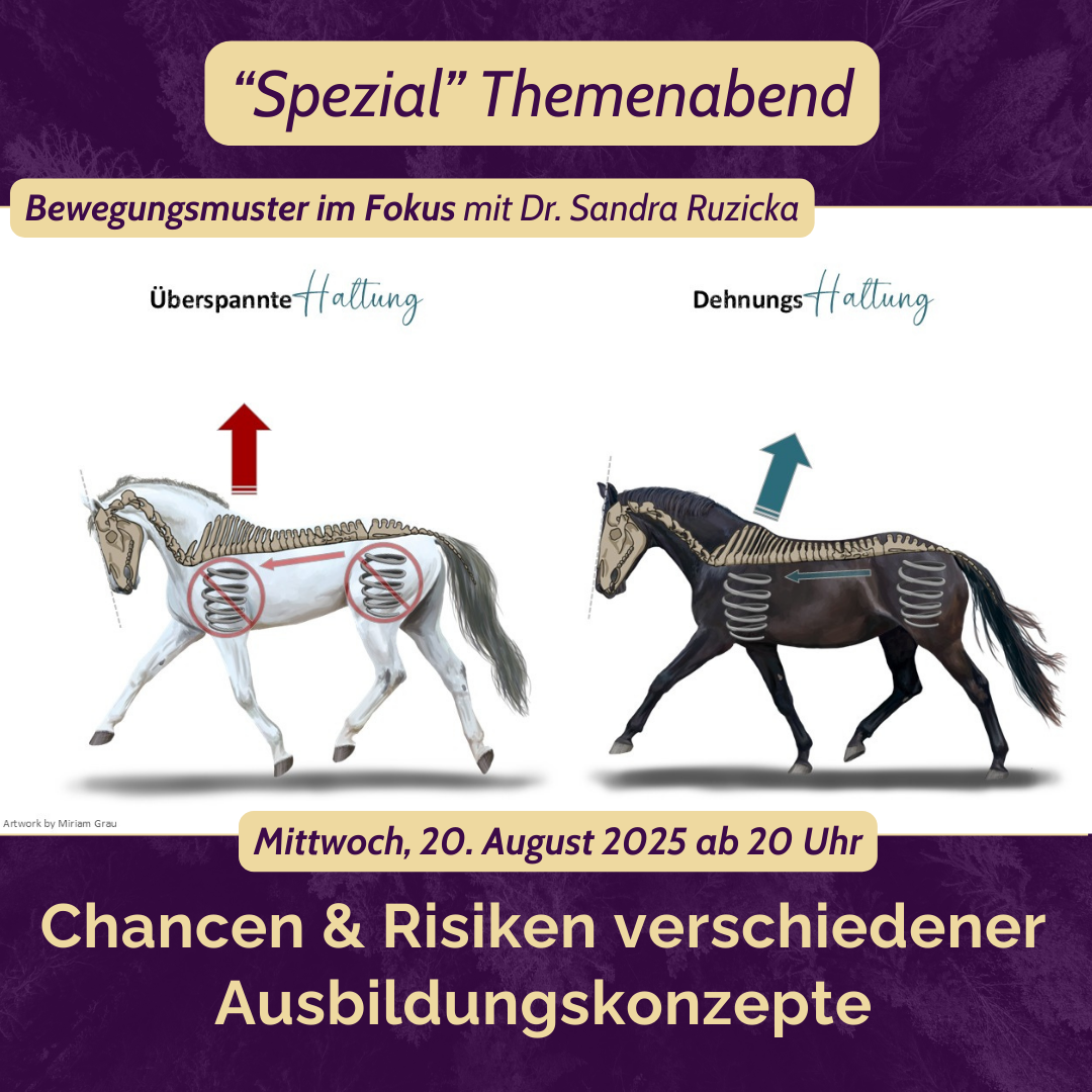 THA ANH Titelbild Themenabend Hufschutz mit Kati Jurth - 1175 x 985px