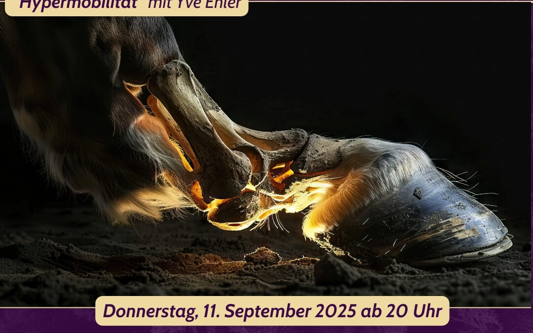 🟢 Themenabend | Hypermobilitaet | 10.06.25