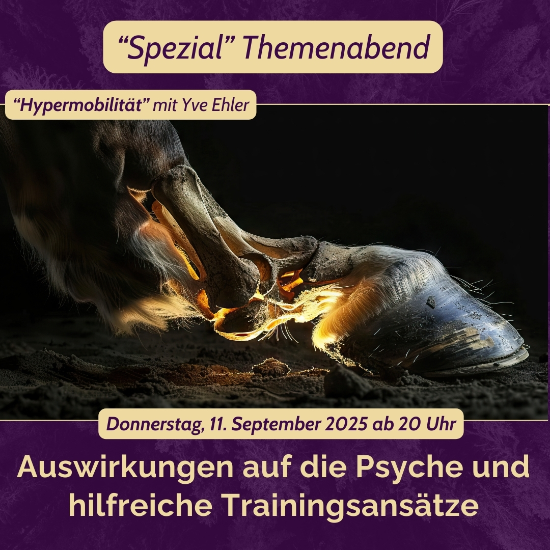 THA ANH Titelbild Themenabend Hufschutz mit Kati Jurth - 1175 x 985px