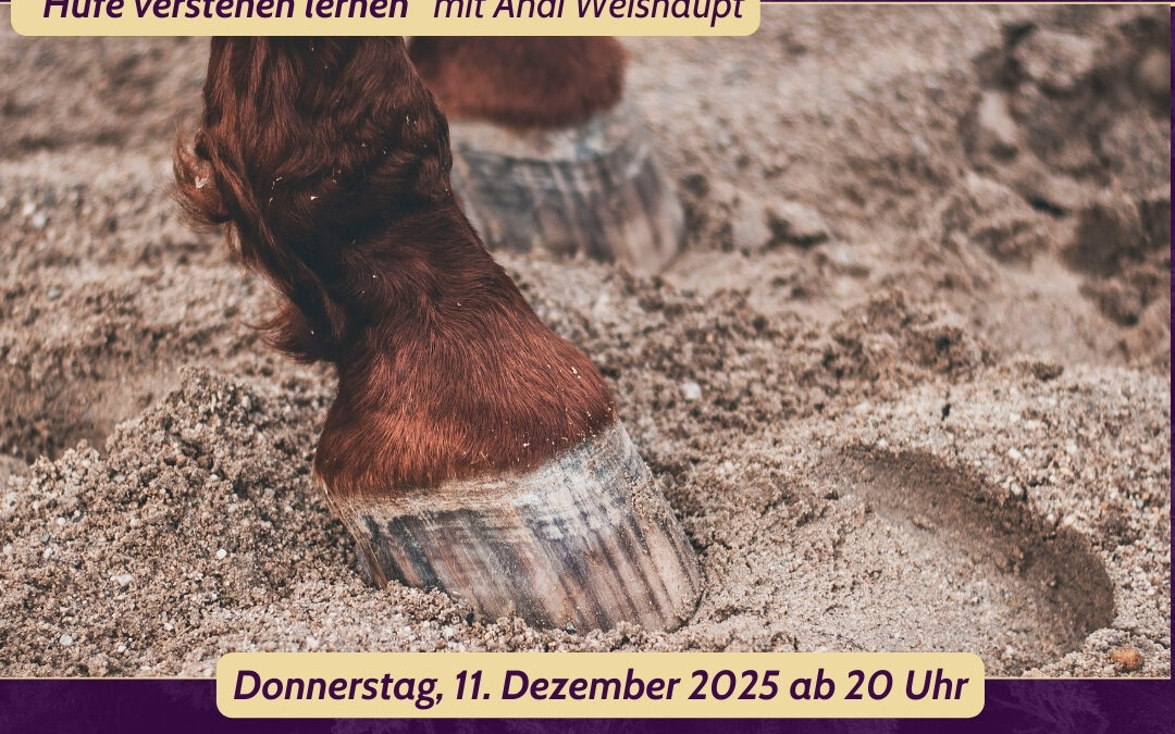 Hufe lesen lernen mit Andi Weishaupt