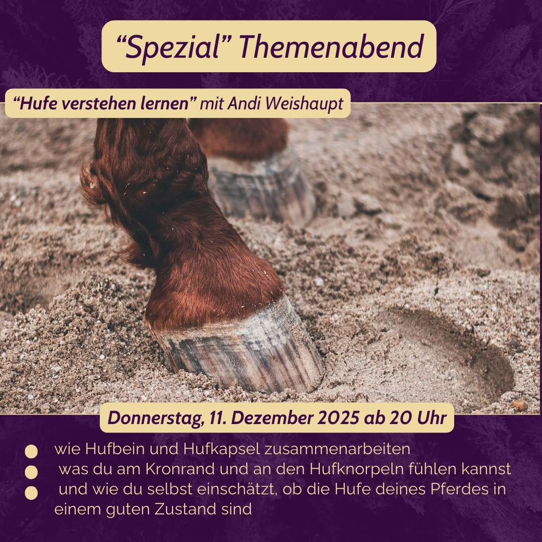 THA ANH Titelbild Themenabend Hufschutz mit Kati Jurth - 1175 x 985px