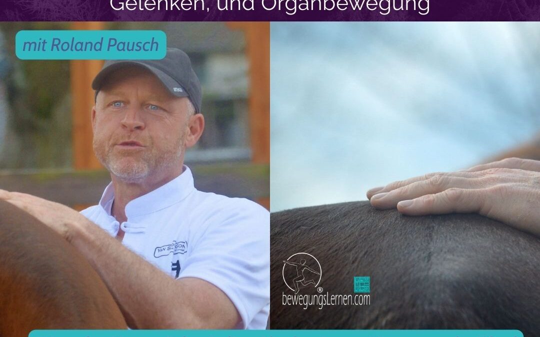 🟢 Neuer Kurs Januar 2026