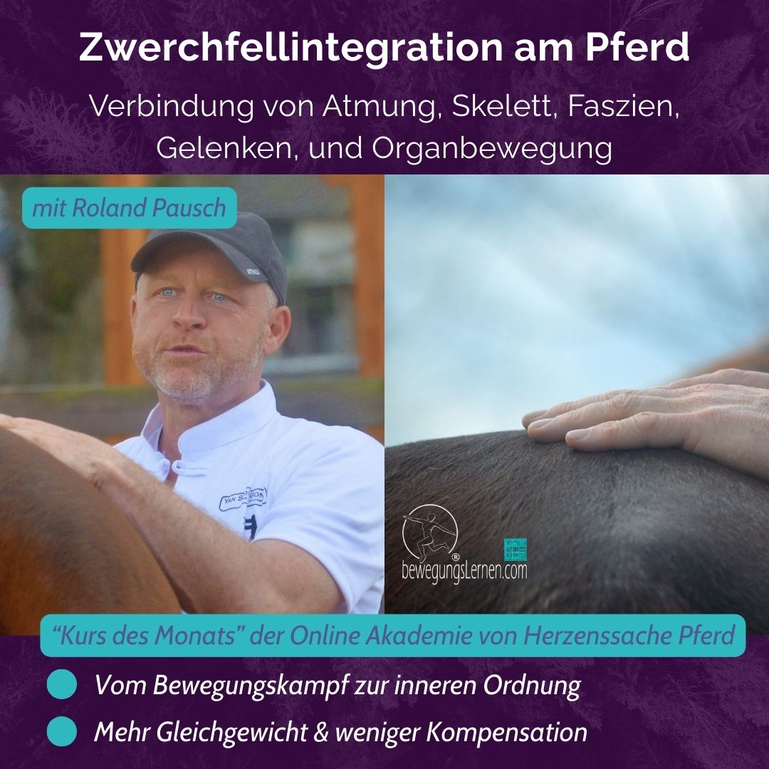 EK ANH Titelbild Einzelkurs ECVM mit Karin Kattwinkel