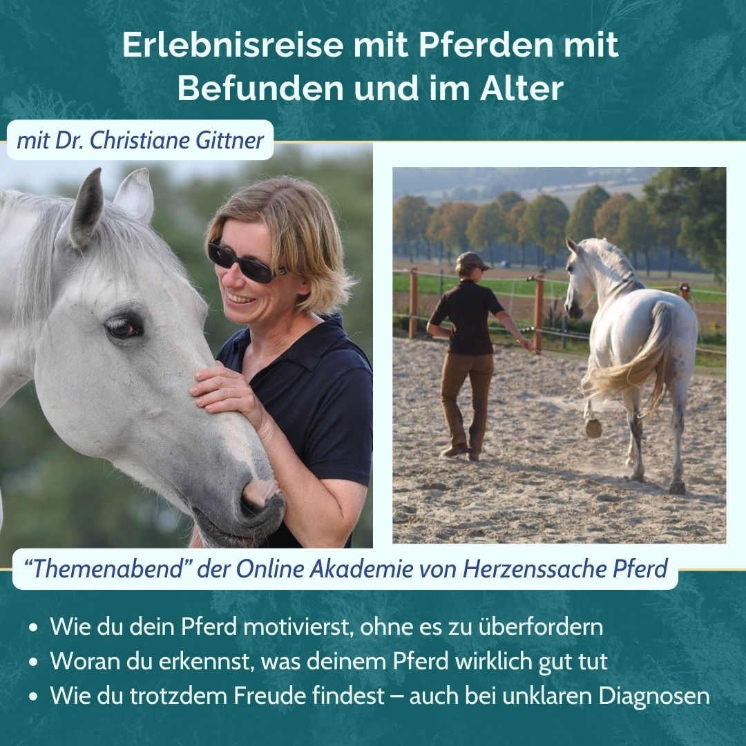 THA ANH Titelbild Themenabend Hufschutz mit Kati Jurth - 1175 x 985px