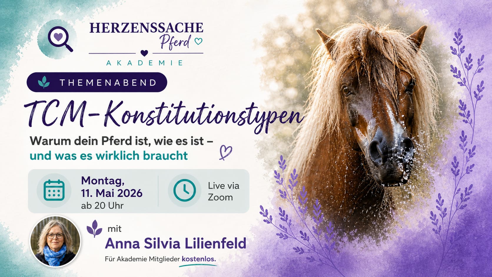 Themenabend TCM Konstitutionstypen