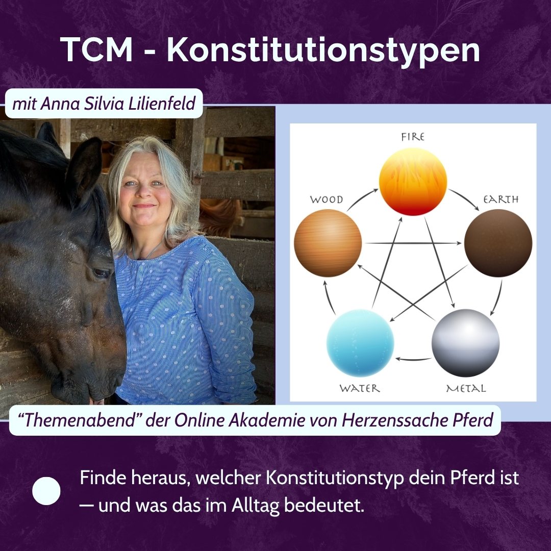 THA ANH Titelbild Themenabend Hufschutz mit Kati Jurth - 1175 x 985px